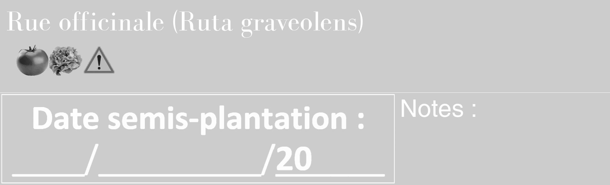 Étiquette de : Ruta graveolens - format c - style blanche0_basique_basiquebod avec comestibilité simplifiée