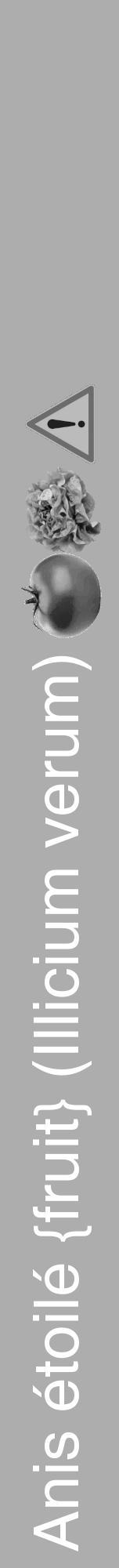 Étiquette de : Illicium verum - format a - style blanche22hel avec comestibilité simplifiée - position verticale