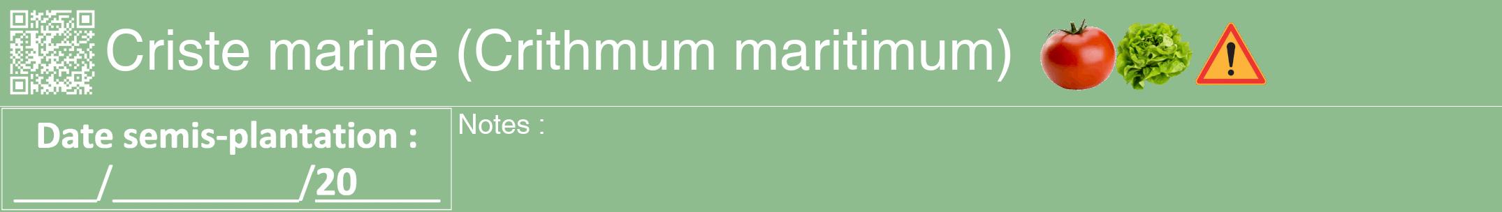 Étiquette de : Crithmum maritimum - format a - style blanche13hel avec qrcode et comestibilité simplifiée