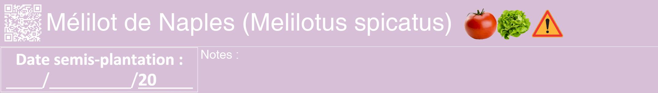 Étiquette de : Melilotus spicatus - format a - style blanche54hel avec qrcode et comestibilité simplifiée