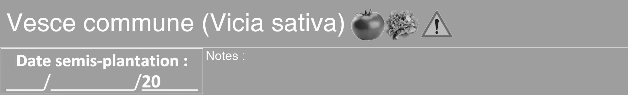Étiquette de : Vicia sativa - format a - style blanche23hel avec comestibilité simplifiée