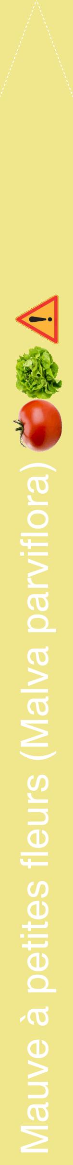 Étiquette de : Malva parviflora - format b - style blanche20hel avec comestibilité simplifiée