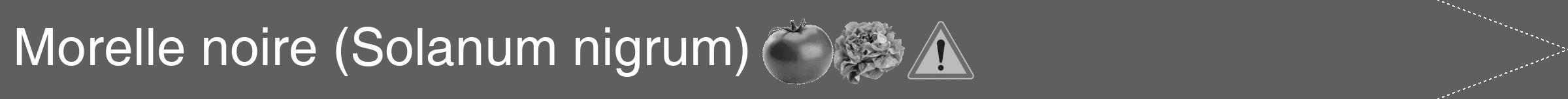 Étiquette de : Solanum nigrum - format b - style blanche10hel avec comestibilité simplifiée