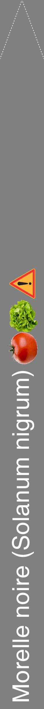 Étiquette de : Solanum nigrum - format b - style blanche57hel avec comestibilité simplifiée