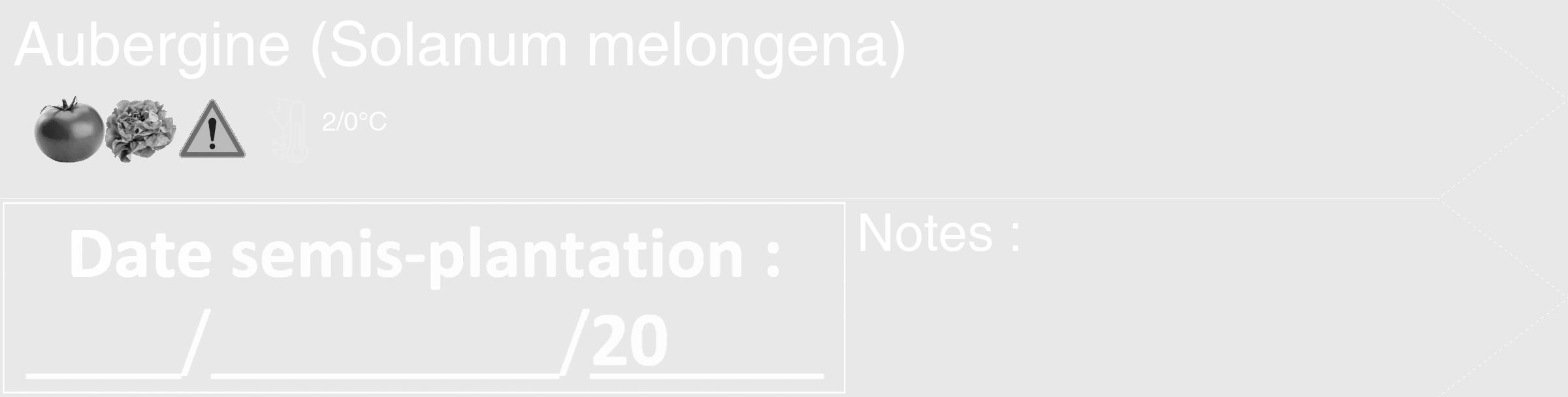 Étiquette de : Solanum melongena - format c - style blanche55_simple_simplehel avec comestibilité simplifiée