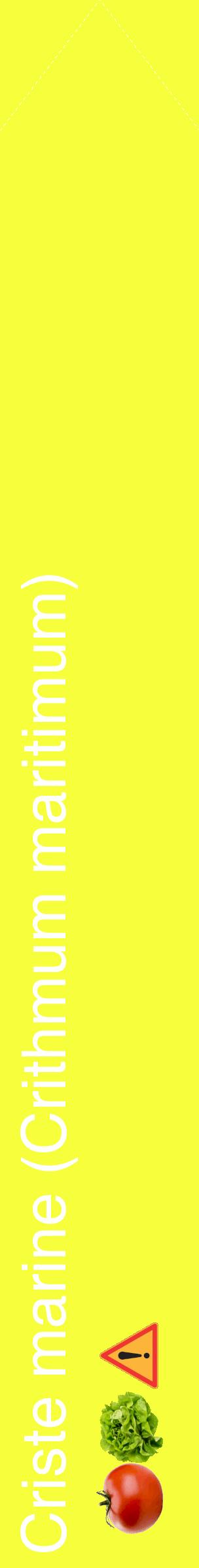 Étiquette de : Crithmum maritimum - format c - style blanche18_simplehel avec comestibilité simplifiée