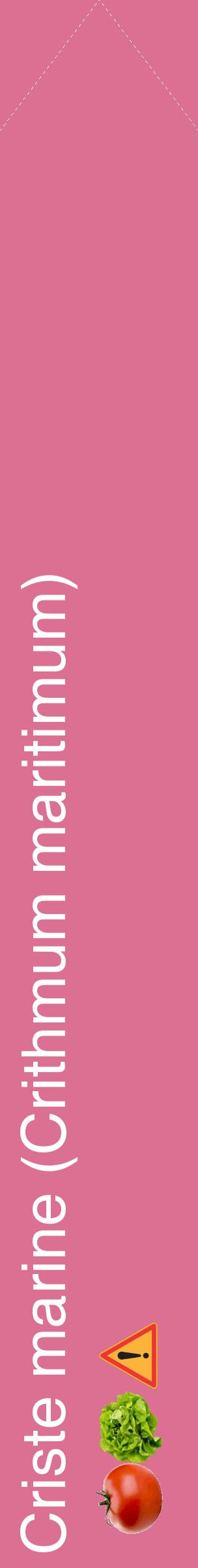 Étiquette de : Crithmum maritimum - format c - style blanche44_simplehel avec comestibilité simplifiée