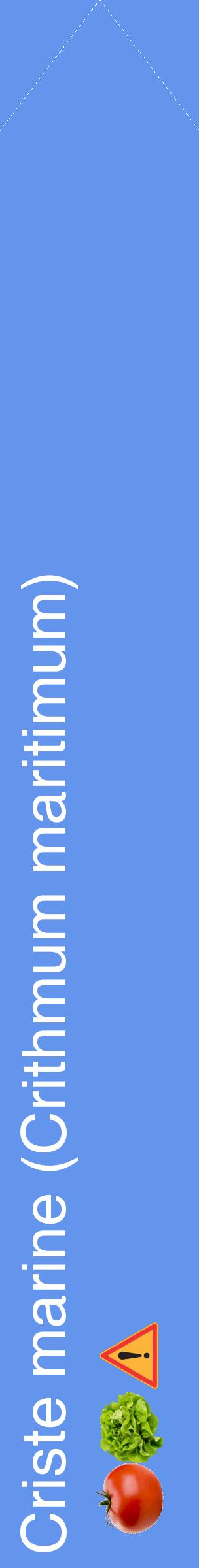 Étiquette de : Crithmum maritimum - format c - style blanche4_simplehel avec comestibilité simplifiée