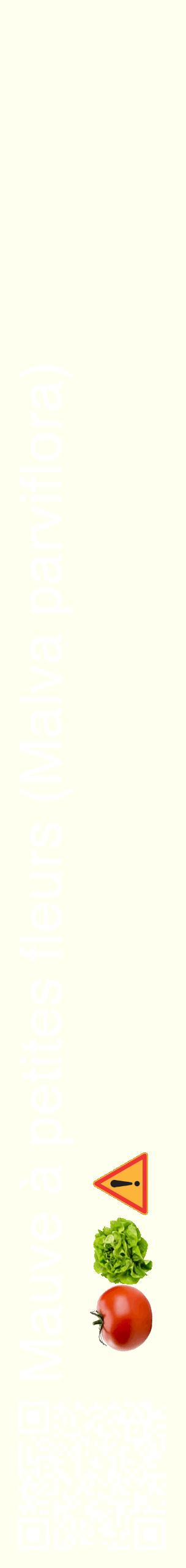Étiquette de : Malva parviflora - format c - style blanche19_simplehel avec qrcode et comestibilité simplifiée
