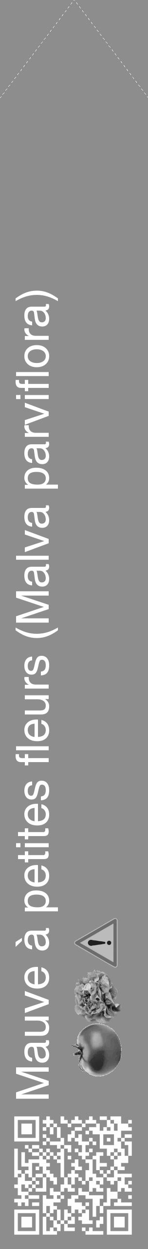 Étiquette de : Malva parviflora - format c - style blanche2_simple_simplehel avec qrcode et comestibilité simplifiée - position verticale