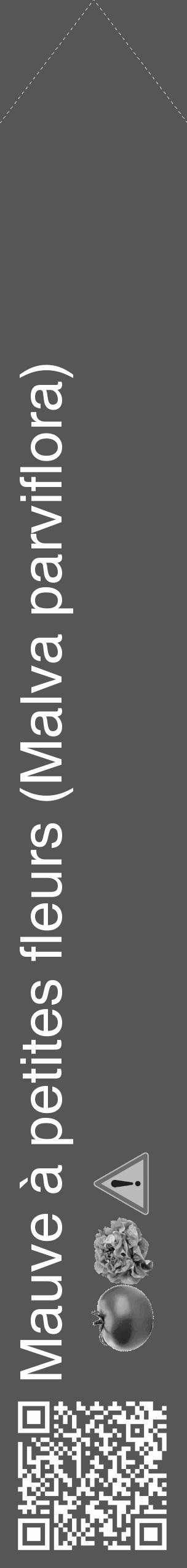 Étiquette de : Malva parviflora - format c - style blanche45_simple_simplehel avec qrcode et comestibilité simplifiée - position verticale