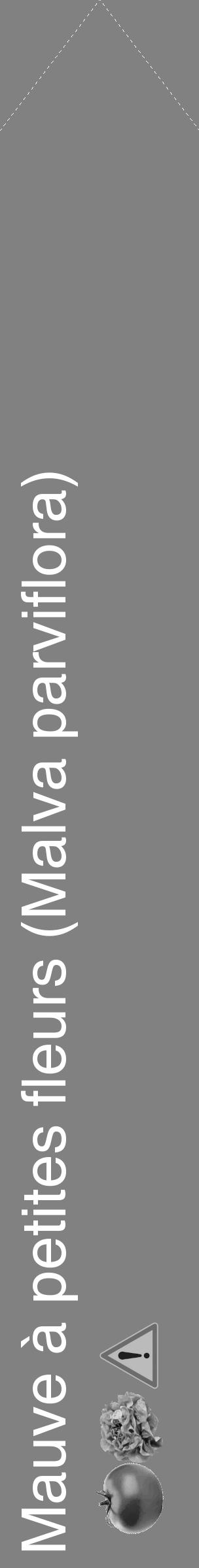 Étiquette de : Malva parviflora - format c - style blanche50_simple_simplehel avec comestibilité simplifiée - position verticale