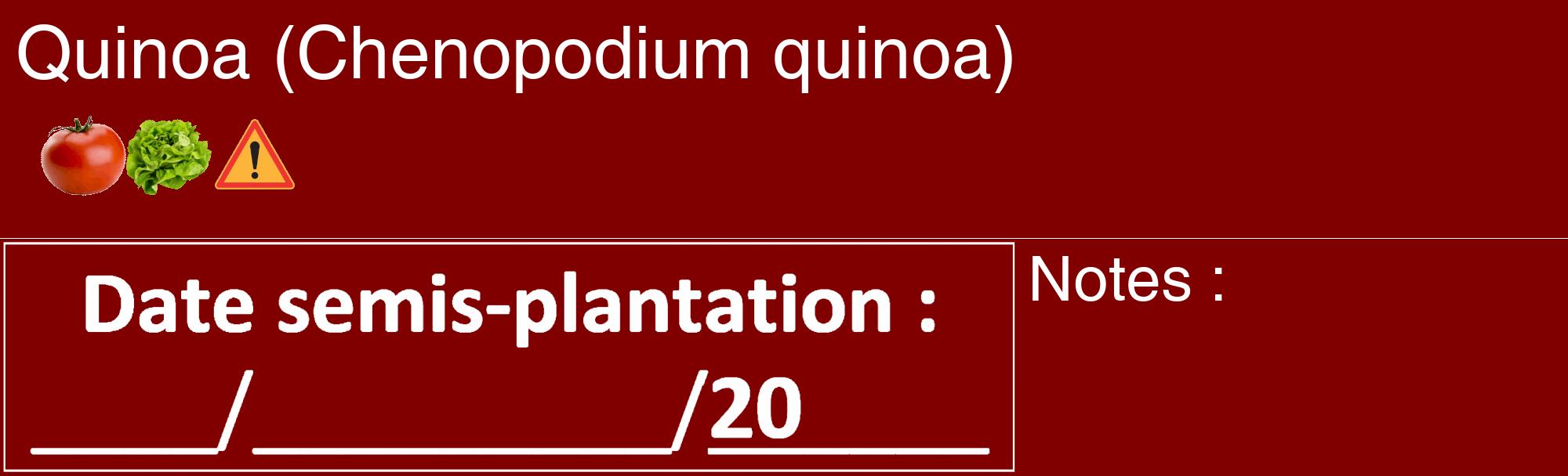 Étiquette de : Chenopodium quinoa - format c - style blanche29_basique_basiquehel avec comestibilité simplifiée