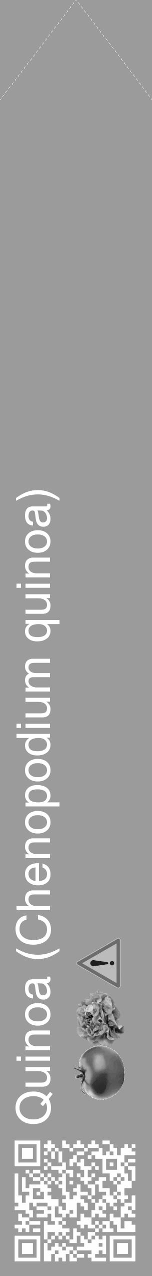 Étiquette de : Chenopodium quinoa - format c - style blanche52_simple_simplehel avec qrcode et comestibilité simplifiée - position verticale