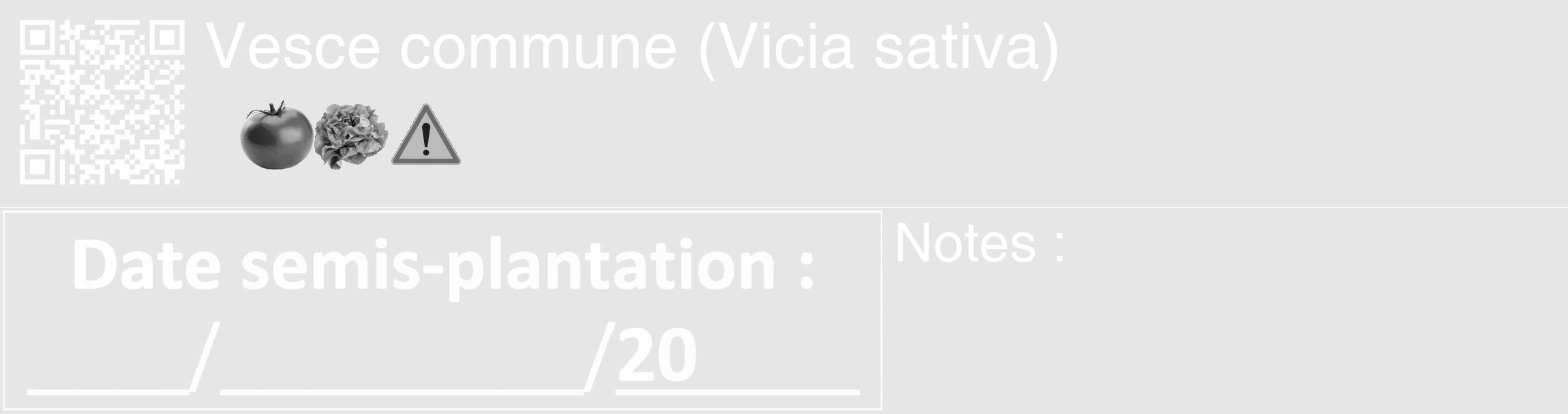 Étiquette de : Vicia sativa - format c - style blanche18_basique_basiquehel avec qrcode et comestibilité simplifiée