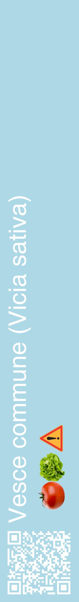 Étiquette de : Vicia sativa - format c - style blanche0_basiquehel avec qrcode et comestibilité simplifiée