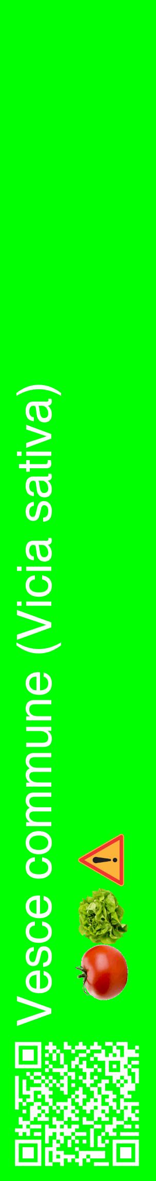 Étiquette de : Vicia sativa - format c - style blanche16_basiquehel avec qrcode et comestibilité simplifiée