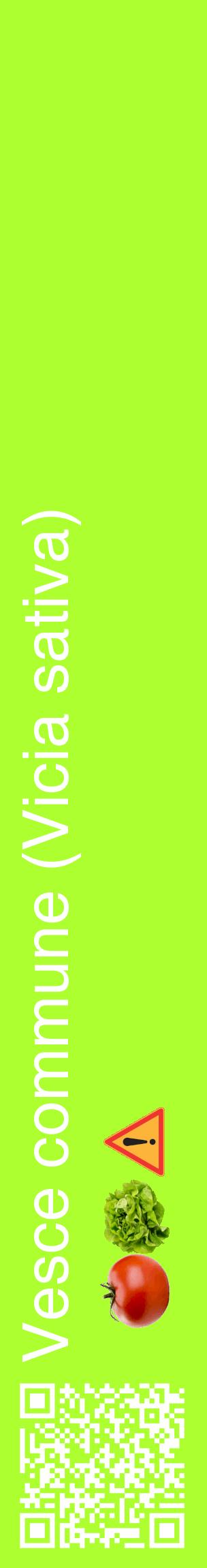 Étiquette de : Vicia sativa - format c - style blanche17_basiquehel avec qrcode et comestibilité simplifiée