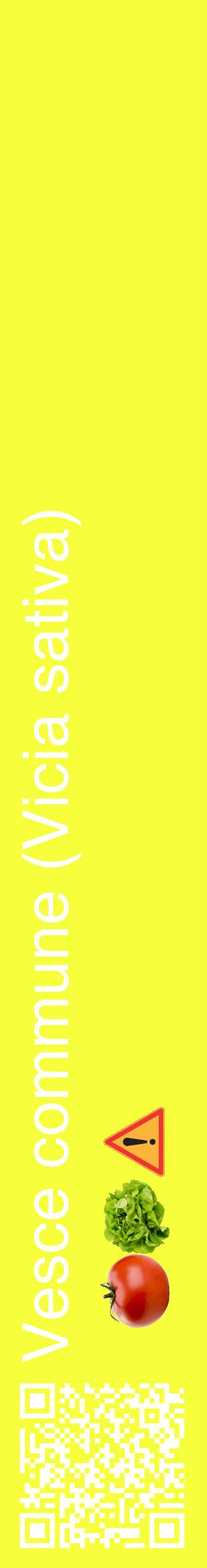 Étiquette de : Vicia sativa - format c - style blanche18_basiquehel avec qrcode et comestibilité simplifiée