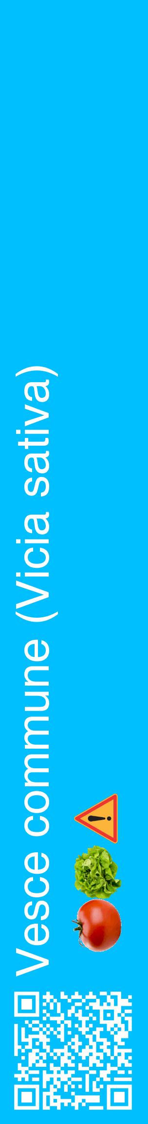 Étiquette de : Vicia sativa - format c - style blanche2_basiquehel avec qrcode et comestibilité simplifiée