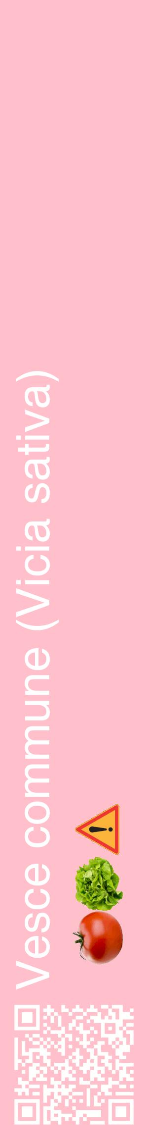 Étiquette de : Vicia sativa - format c - style blanche40_basiquehel avec qrcode et comestibilité simplifiée