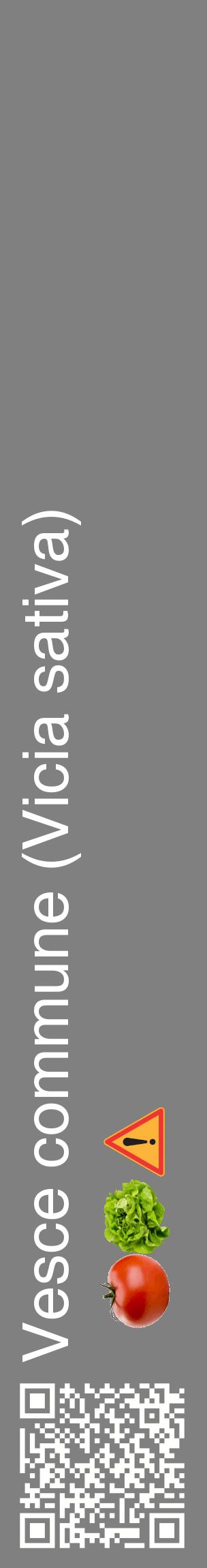 Étiquette de : Vicia sativa - format c - style blanche57_basiquehel avec qrcode et comestibilité simplifiée