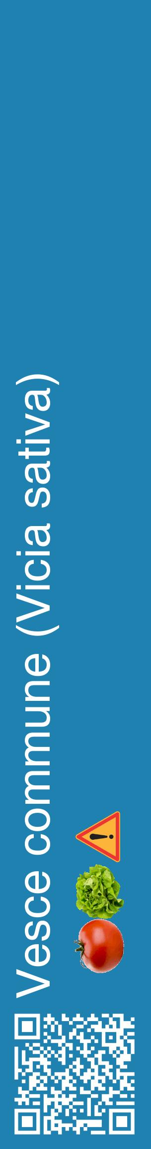 Étiquette de : Vicia sativa - format c - style blanche6_basiquehel avec qrcode et comestibilité simplifiée