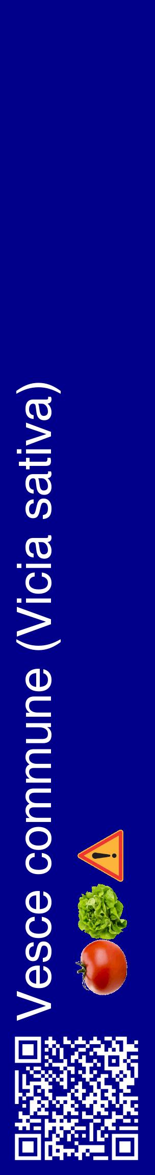 Étiquette de : Vicia sativa - format c - style blanche7_basiquehel avec qrcode et comestibilité simplifiée