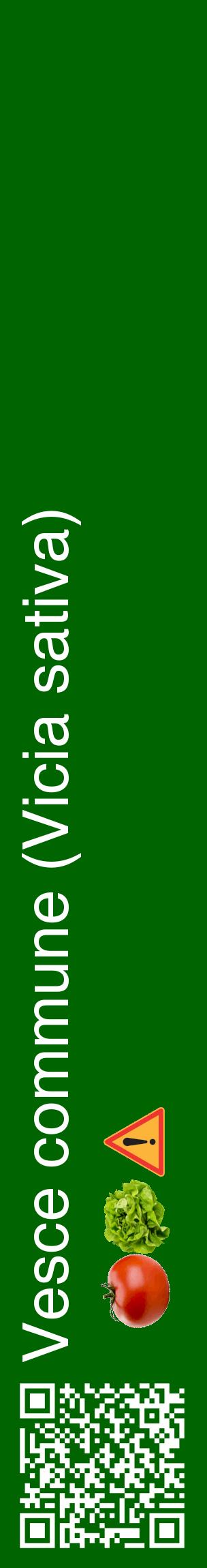 Étiquette de : Vicia sativa - format c - style blanche8_basiquehel avec qrcode et comestibilité simplifiée