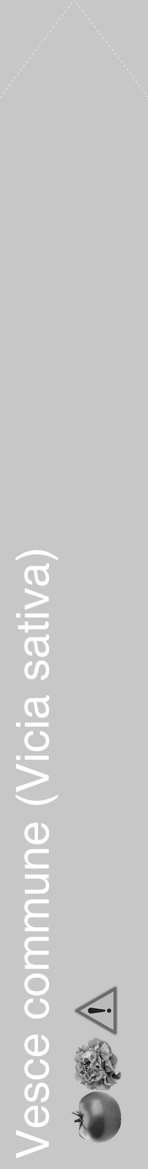 Étiquette de : Vicia sativa - format c - style blanche15_simple_simplehel avec comestibilité simplifiée - position verticale