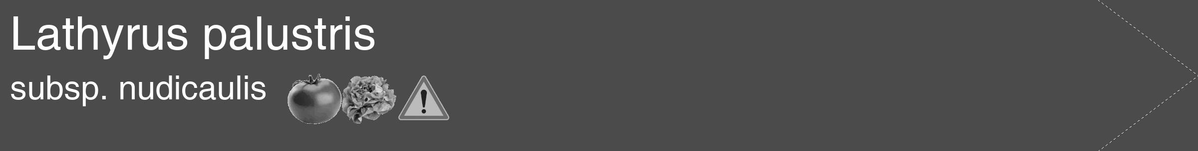 Étiquette de : Lathyrus palustris subsp. nudicaulis - format c - style blanche9_simple_simplehel avec comestibilité simplifiée