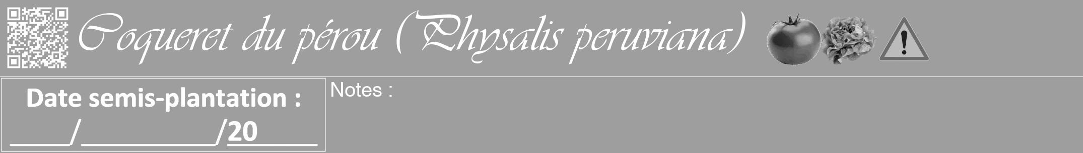 Étiquette de : Physalis peruviana - format a - style blanche23viv avec qrcode et comestibilité simplifiée