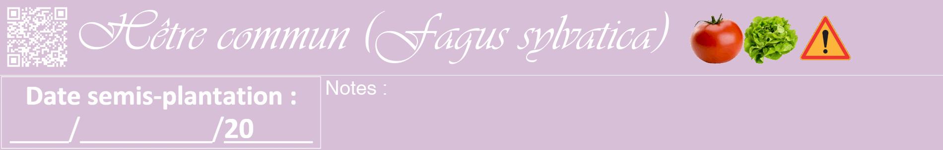 Étiquette de : Fagus sylvatica - format a - style blanche54basiqueviv avec qrcode et comestibilité simplifiée