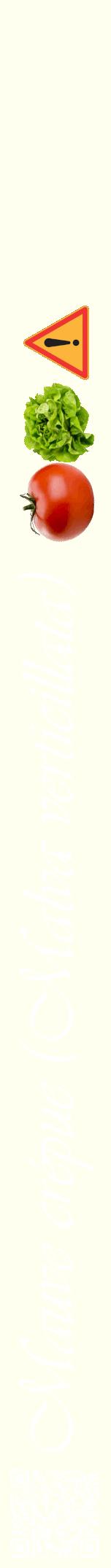 Étiquette de : Malva verticillata - format a - style blanche19viv avec qrcode et comestibilité simplifiée