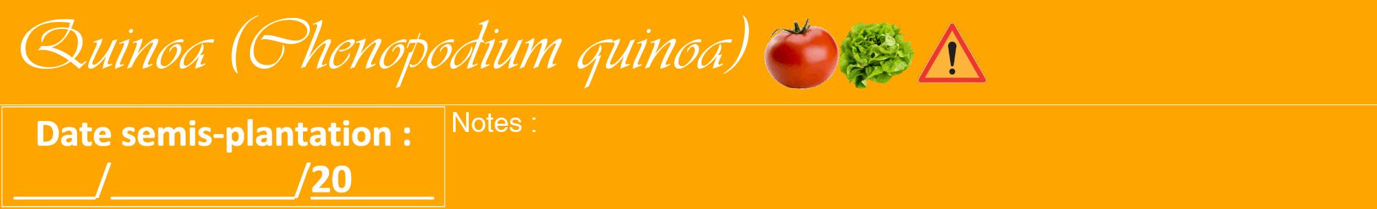 Étiquette de : Chenopodium quinoa - format a - style blanche22viv avec comestibilité simplifiée