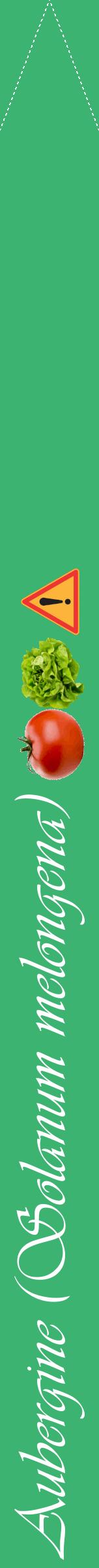 Étiquette de : Solanum melongena - format b - style blanche12viv avec comestibilité simplifiée