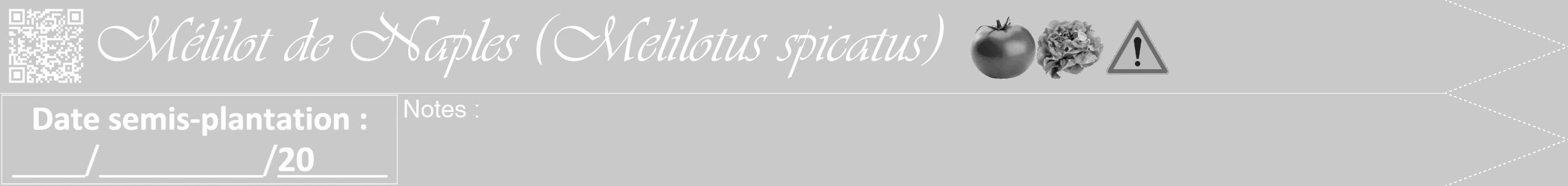 Étiquette de : Melilotus spicatus - format b - style blanche54viv avec qrcode et comestibilité simplifiée