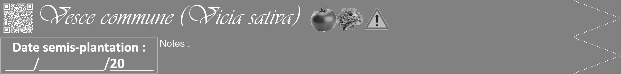 Étiquette de : Vicia sativa - format b - style blanche50viv avec qrcode et comestibilité simplifiée