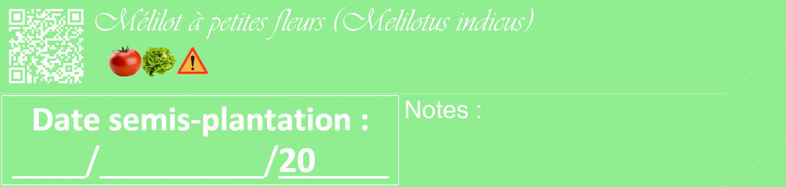 Étiquette de : Melilotus indicus - format c - style blanche15_simple_simpleviv avec qrcode et comestibilité simplifiée