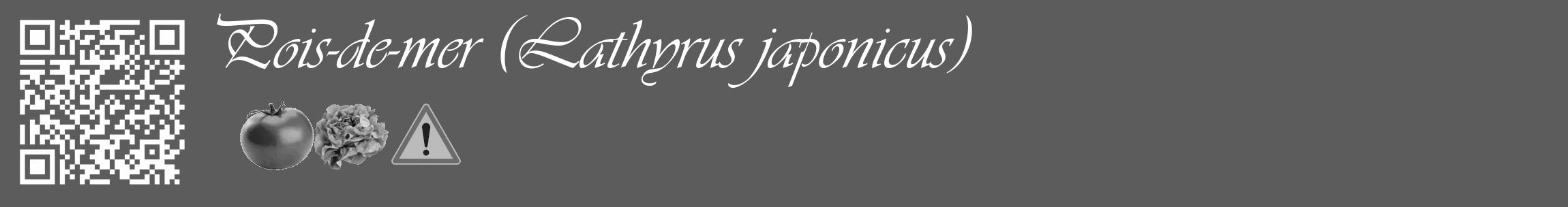 Étiquette de : Lathyrus japonicus - format c - style blanche49_basique_basiqueviv avec qrcode et comestibilité simplifiée