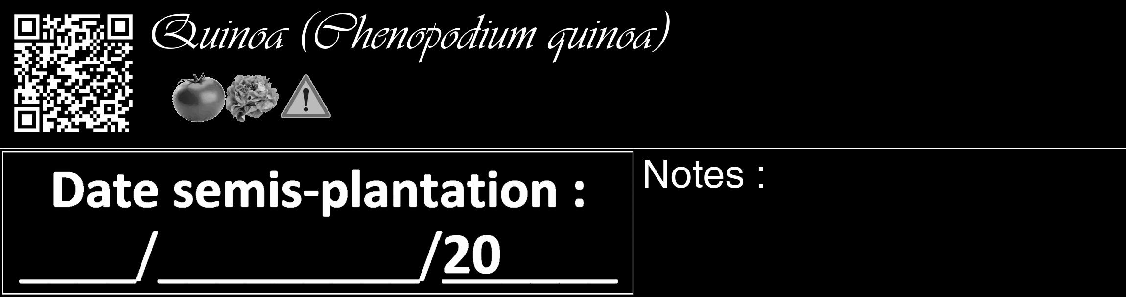 Étiquette de : Chenopodium quinoa - format c - style blanche59_basique_basiqueviv avec qrcode et comestibilité simplifiée