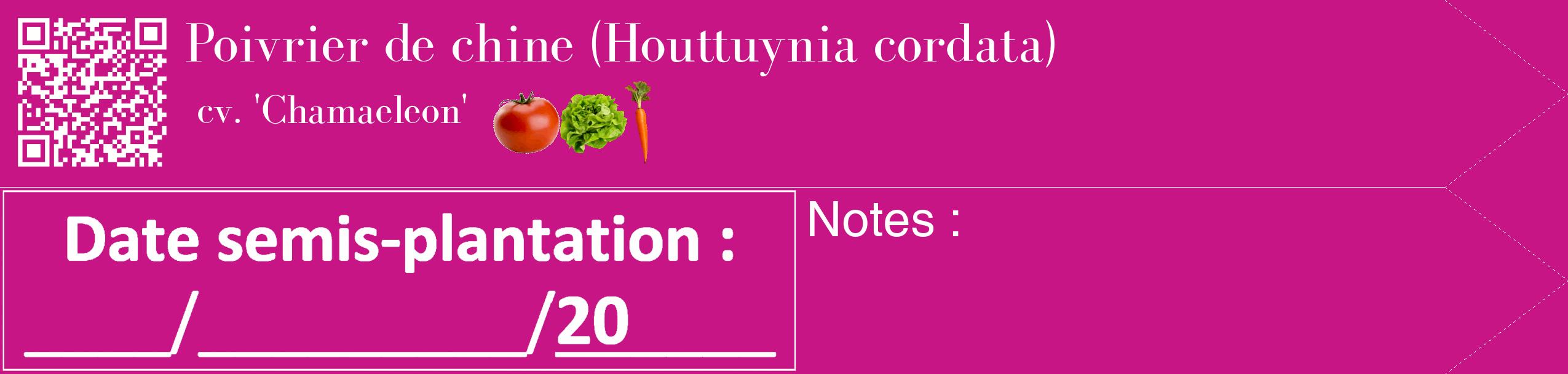 Étiquette de : Houttuynia cordata cv. 'Chamaeleon' - format c - style blanche45_simple_simplebod avec qrcode et comestibilité simplifiée