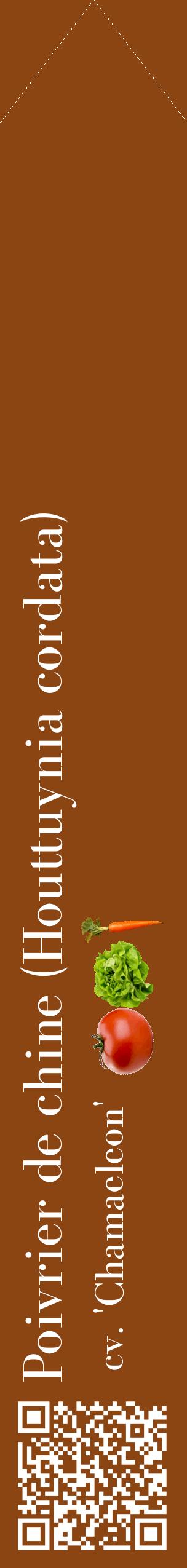 Étiquette de : Houttuynia cordata cv. 'Chamaeleon' - format c - style blanche30_simplebod avec qrcode et comestibilité simplifiée