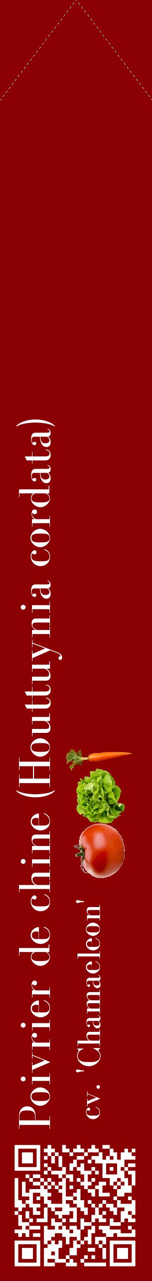 Étiquette de : Houttuynia cordata cv. 'Chamaeleon' - format c - style blanche34_simplebod avec qrcode et comestibilité simplifiée