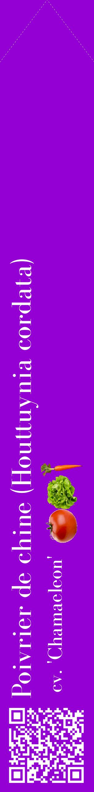 Étiquette de : Houttuynia cordata cv. 'Chamaeleon' - format c - style blanche48_simplebod avec qrcode et comestibilité simplifiée