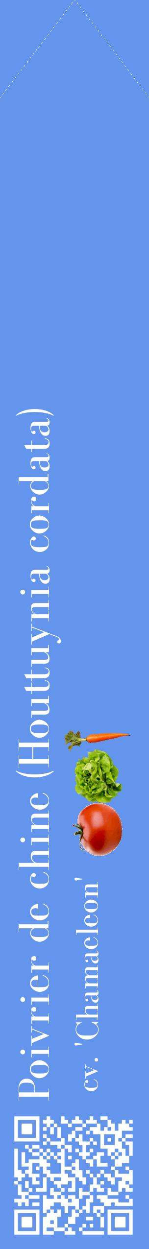 Étiquette de : Houttuynia cordata cv. 'Chamaeleon' - format c - style blanche4_simplebod avec qrcode et comestibilité simplifiée