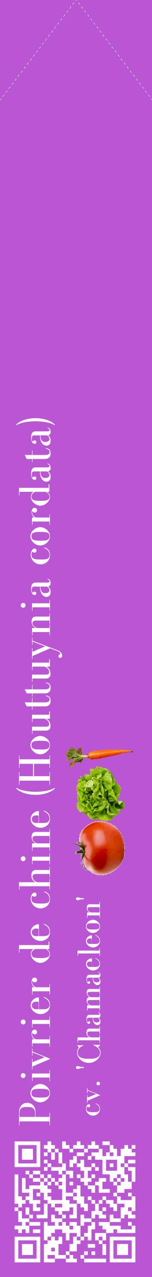 Étiquette de : Houttuynia cordata cv. 'Chamaeleon' - format c - style blanche50_simplebod avec qrcode et comestibilité simplifiée