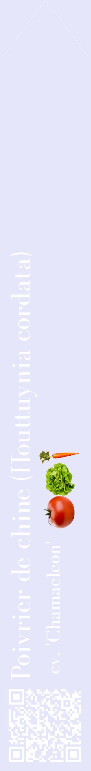 Étiquette de : Houttuynia cordata cv. 'Chamaeleon' - format c - style blanche55_simplebod avec qrcode et comestibilité simplifiée