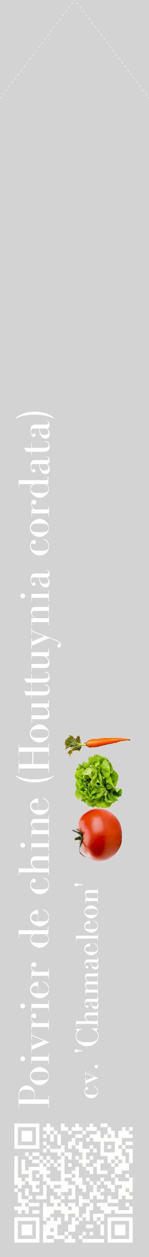 Étiquette de : Houttuynia cordata cv. 'Chamaeleon' - format c - style blanche56_simplebod avec qrcode et comestibilité simplifiée