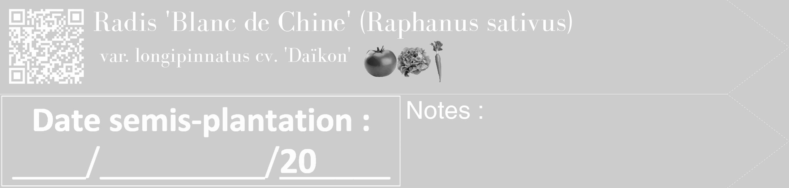 Étiquette de : Raphanus sativus var. longipinnatus cv. 'Daïkon' - format c - style blanche0simple_simple_simplebod avec qrcode et comestibilité simplifiée